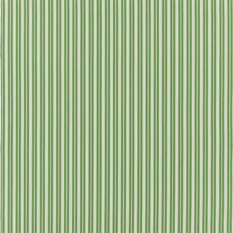 Conduit Stripe FDG3211-03