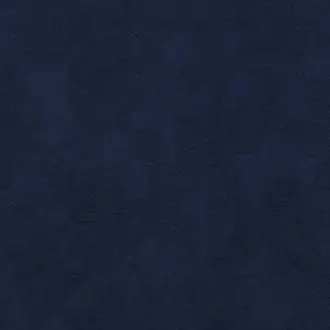 Classique Navy