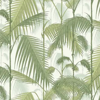 Palm Jungle F111-2007LU