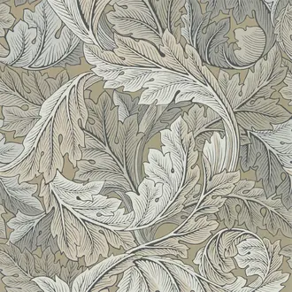 Acanthus 216441