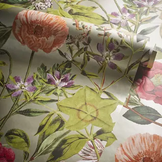 Passiflora W0143-03