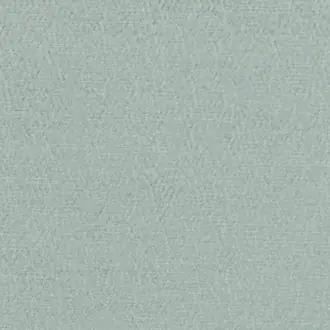 Anshu FDG2896-01