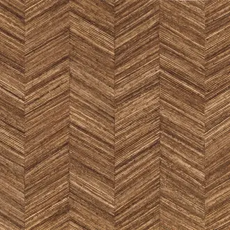 Ocotea 75371222
