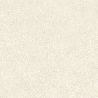 Skin 300510