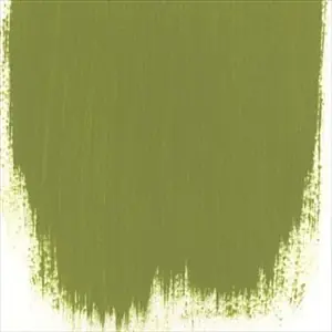 Asparagus Fern No 94 Paint