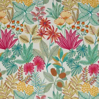 Seychelles JT013896-001