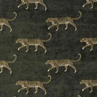Leopard Grey
