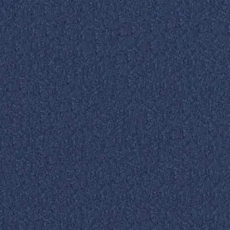 Toledo 26 Navy