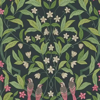Jasmine and Serin Symphony 117-10028