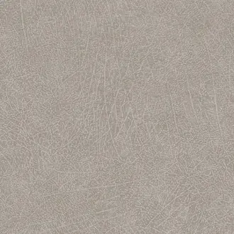 Skin 300512