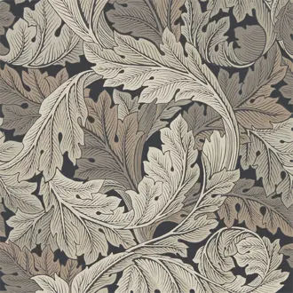 Acanthus 216442