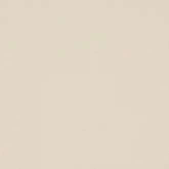 Ritual T9082-01