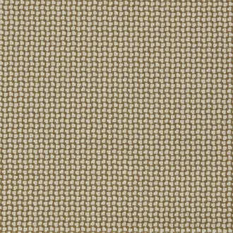 Fen 237488