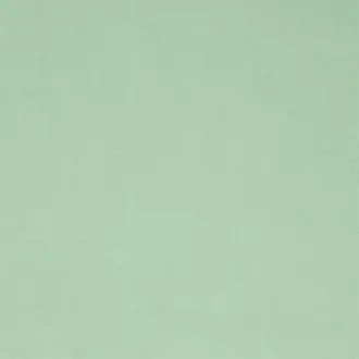 Cassia F2034-47