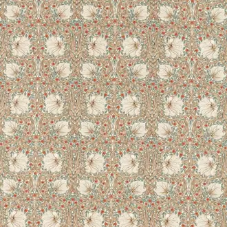 Pimpernel 227231
