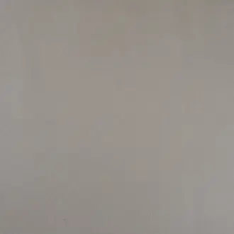 Silvertex Sandstone