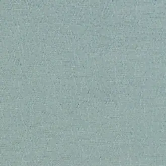 Anshu FDG2896-02