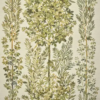Pompei I6650001
