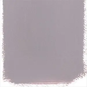 Autumn Hydrangea No 142 Paint