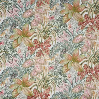 Canopy 2813-428