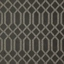 Pylos 04 Carbon