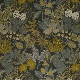 Seychelles JT013896-002