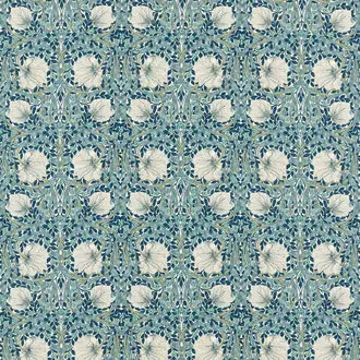 Pimpernel 227232