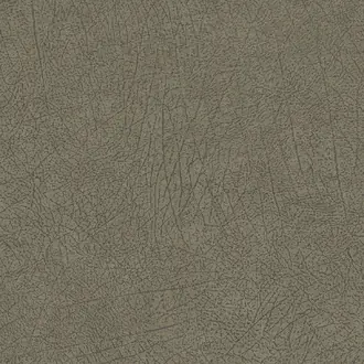 Skin 300514