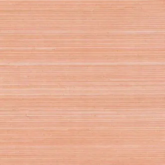 Coiba RM 110 39