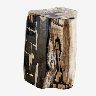 Petrified Log ST0258