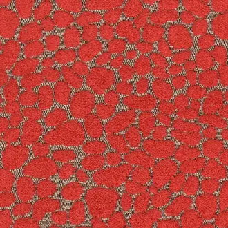 Deneb 06 Poppy