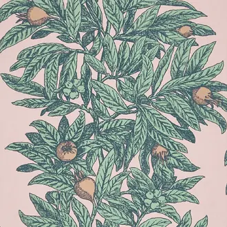 Medlar W7458-01