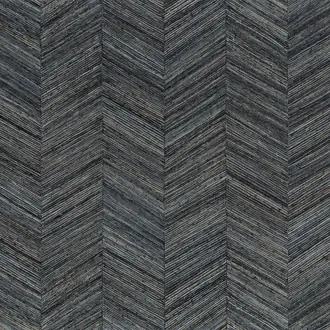 Ocotea 75371528