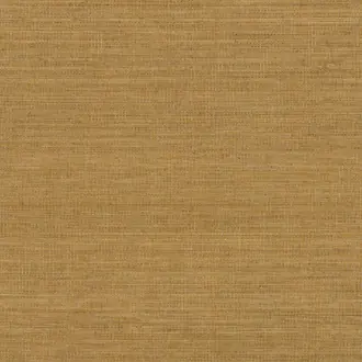 Abaca ABA20
