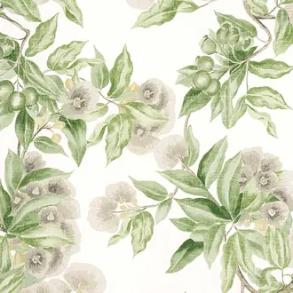 Camellia Garden AF24551