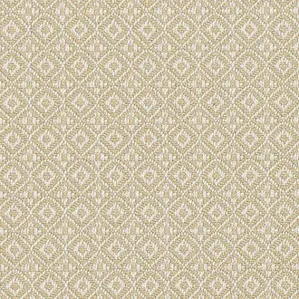 Komodo Ochre