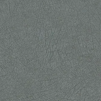 Skin 300515