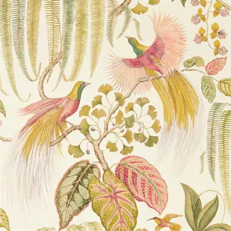 Bird of Paradise 216653