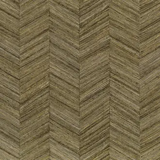 Ocotea 75371630