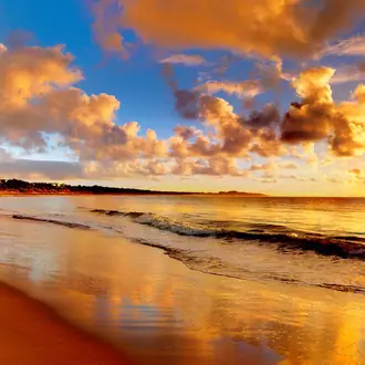 Beach R11941