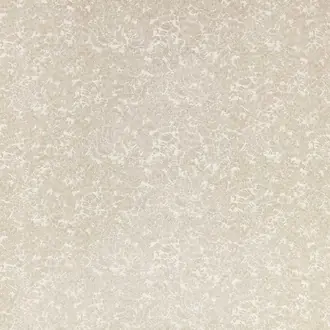 Shiri Quartzite