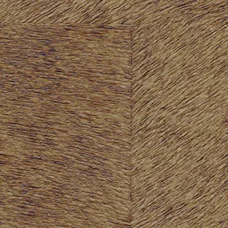 Natives CV 101 10