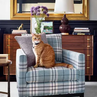 Percival Plaid W711327