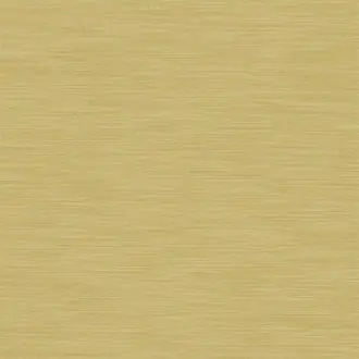 Pampas FDG2163-61