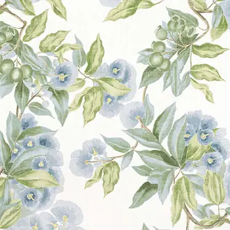 Camellia Garden AF24549