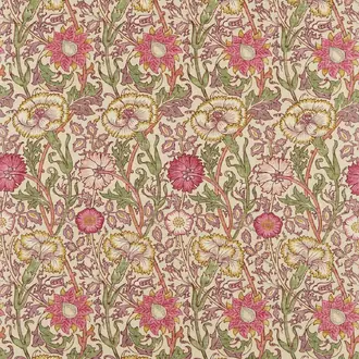 Pink & Rose 222529