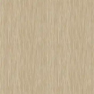 Salerno AE02623