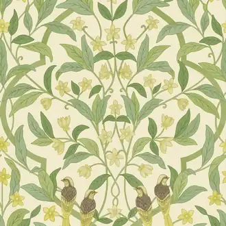 Jasmine and Serin Symphony 117-10031