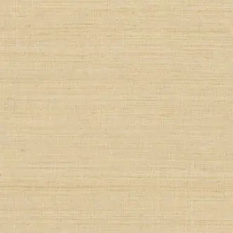 Abaca ABA21