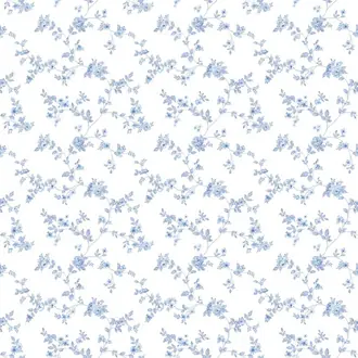 Small Prints G56647